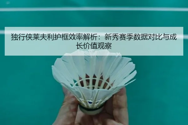 独行侠莱夫利护框效率解析：新秀赛季数据对比与成长价值观察